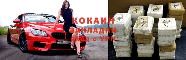 стаф Горняк