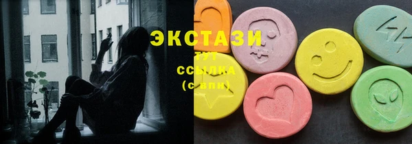 стаф Горняк