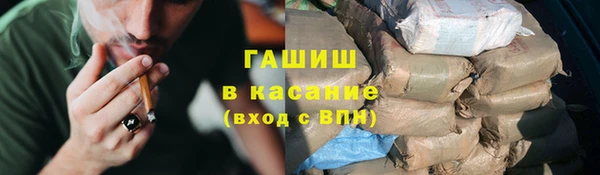 стаф Горняк