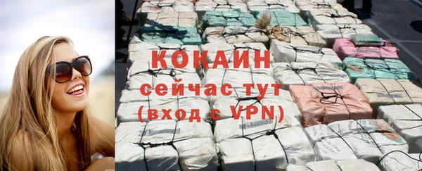 стаф Горняк