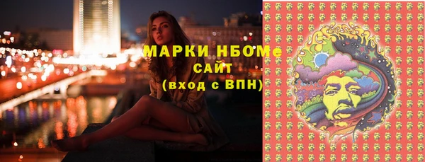 стаф Горняк