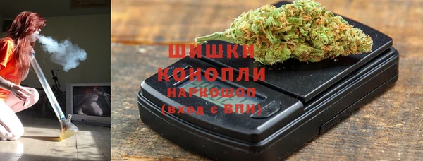 стаф Горняк