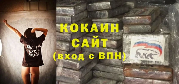 ПСИЛОЦИБИНОВЫЕ ГРИБЫ Горнозаводск