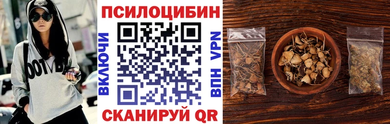 Псилоцибиновые грибы Magic Shrooms  дарк нет телеграм  Зима  купить  