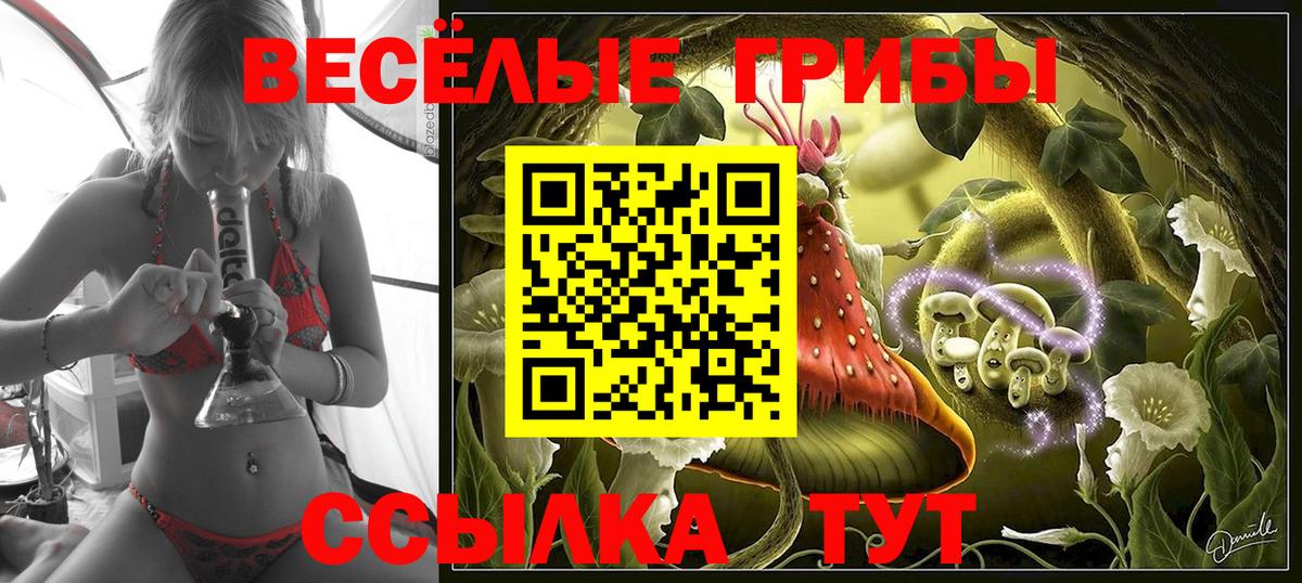 Псилоцибиновые грибы мухоморы  Галлюциногенные грибы Cubensis  Зима  Вход с VPN 